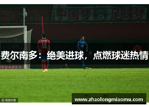 费尔南多：绝美进球，点燃球迷热情