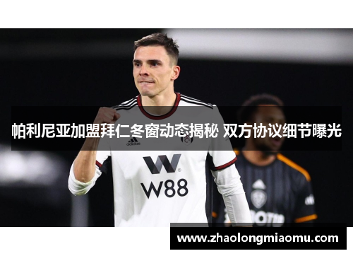 帕利尼亚加盟拜仁冬窗动态揭秘 双方协议细节曝光 帕利尼亚加盟拜仁冬窗动态揭秘 双方协议细节曝光