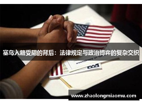 塞鸟入籍受阻的背后：法律规定与政治博弈的复杂交织