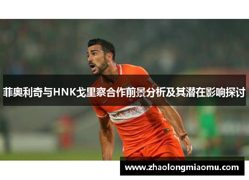 菲奥利奇与HNK戈里察合作前景分析及其潜在影响探讨