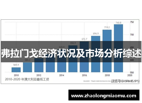 弗拉门戈经济状况及市场分析综述